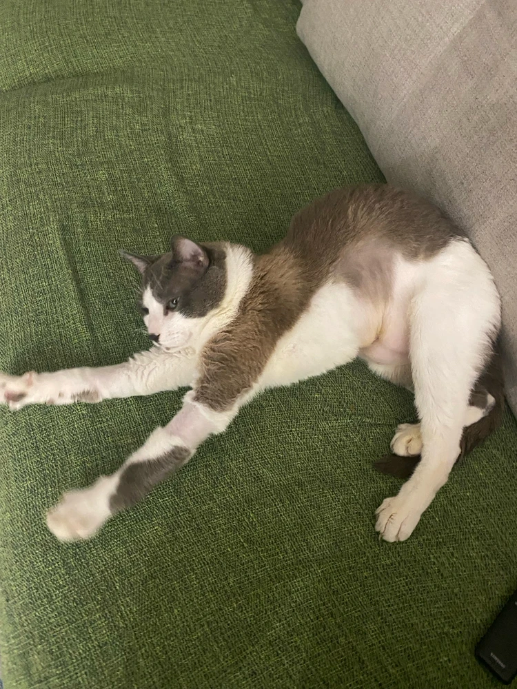 Image uploaded by Helena