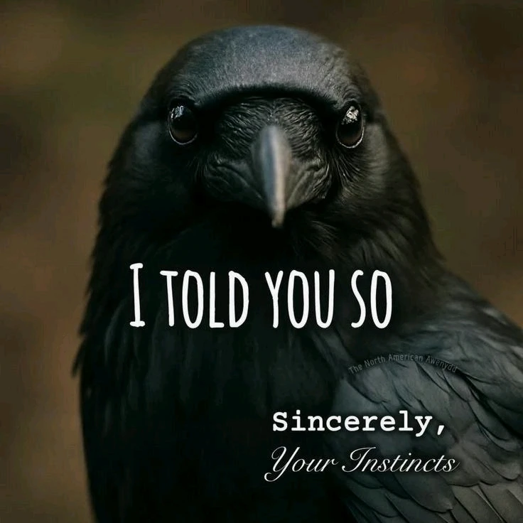 GIF uploaded by RaNdoM