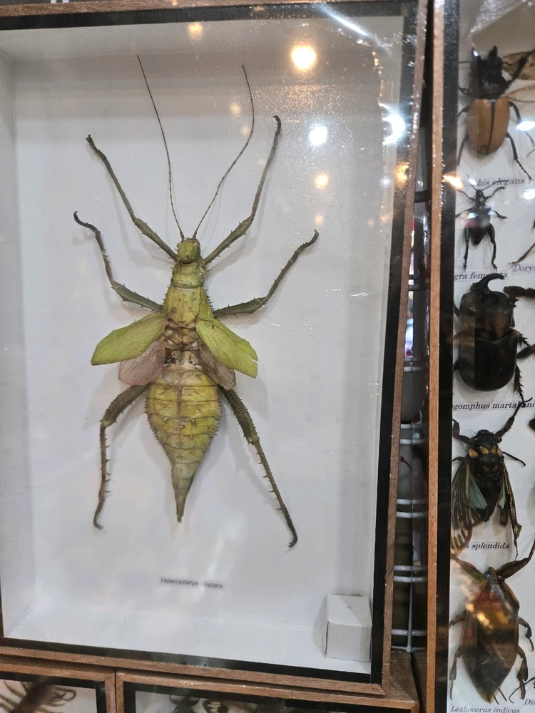 GIF uploaded by Sean