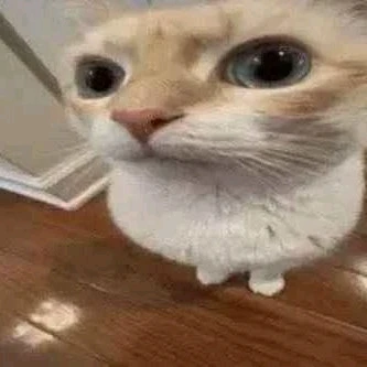 GIF subido por Gastón