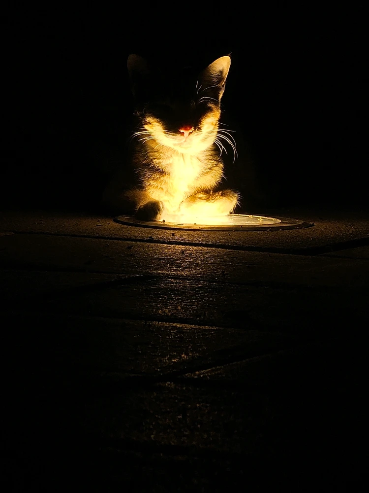 GIF uploaded by Afrin