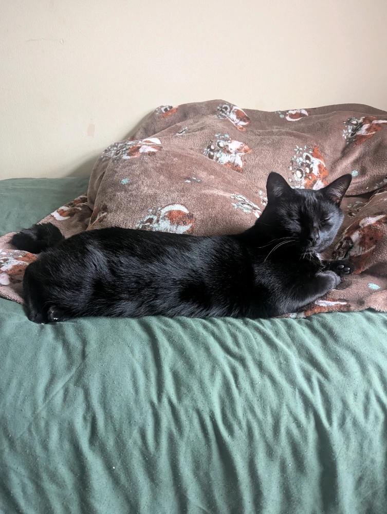 GIF uploaded by Samie