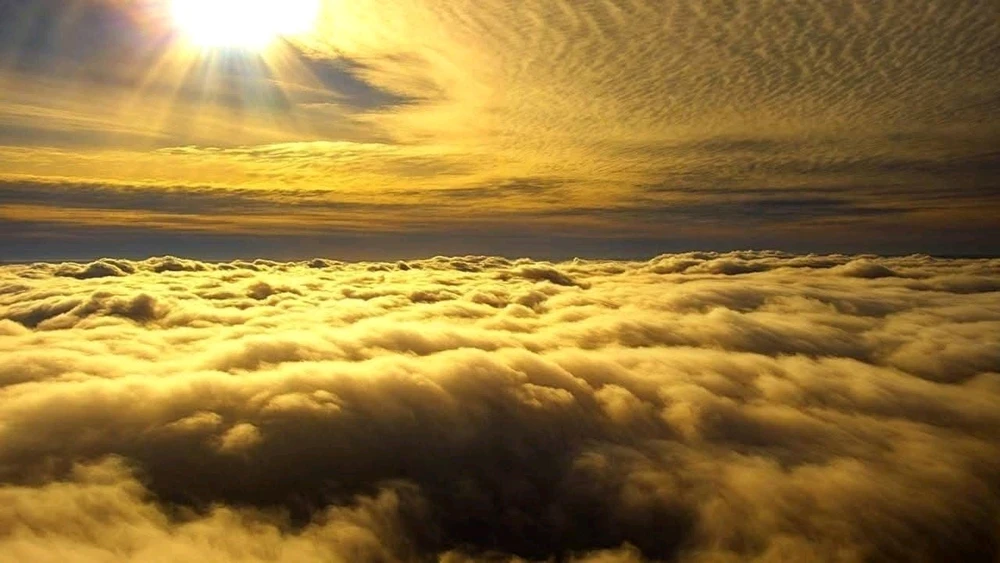 Зображення завантажив Антон