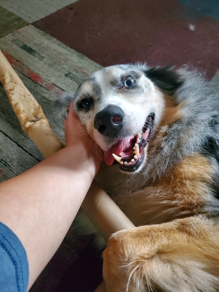 GIF uploaded by Gwenalina