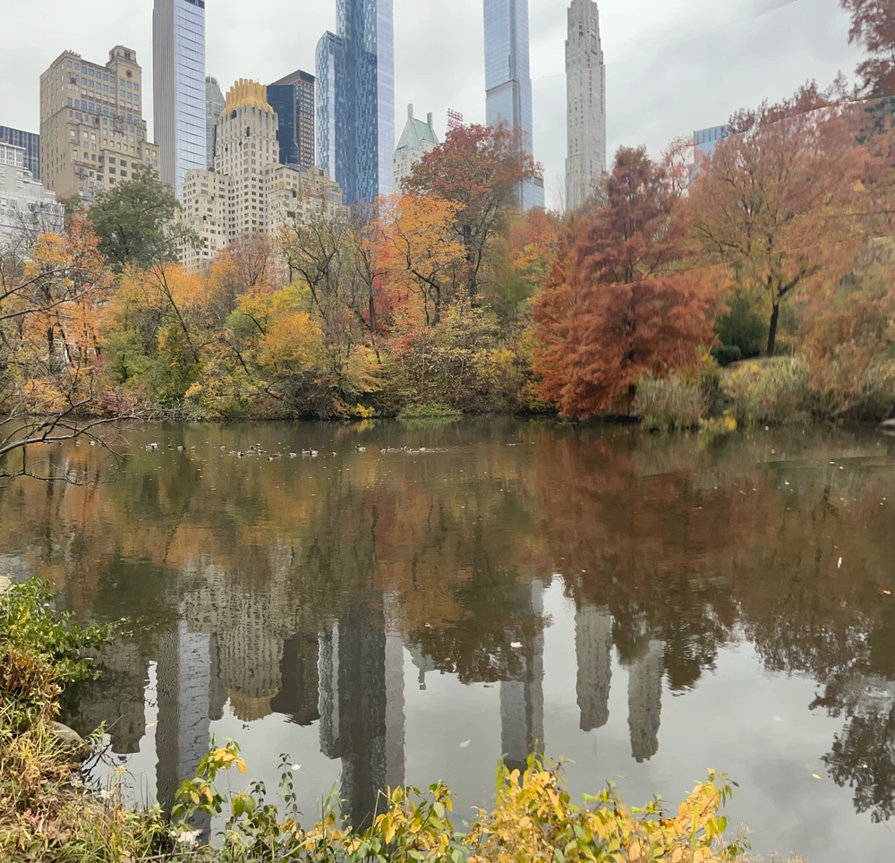 Gambar diunggah dening Dylan Camp