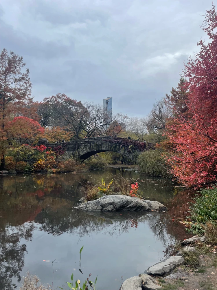 Gambar diunggah dening Dylan Camp