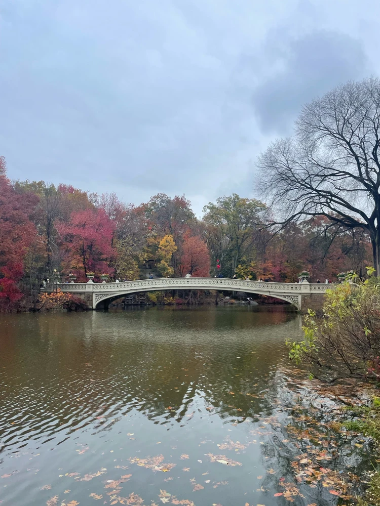 Gambar diunggah dening Dylan Camp