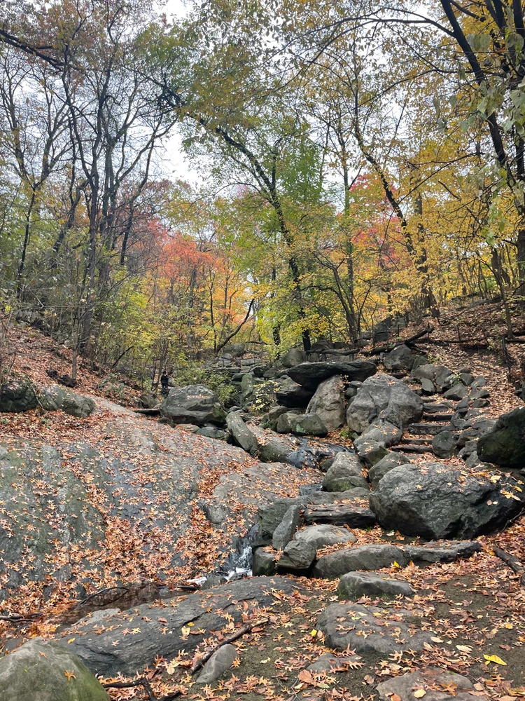 Gambar diunggah dening Dylan Camp