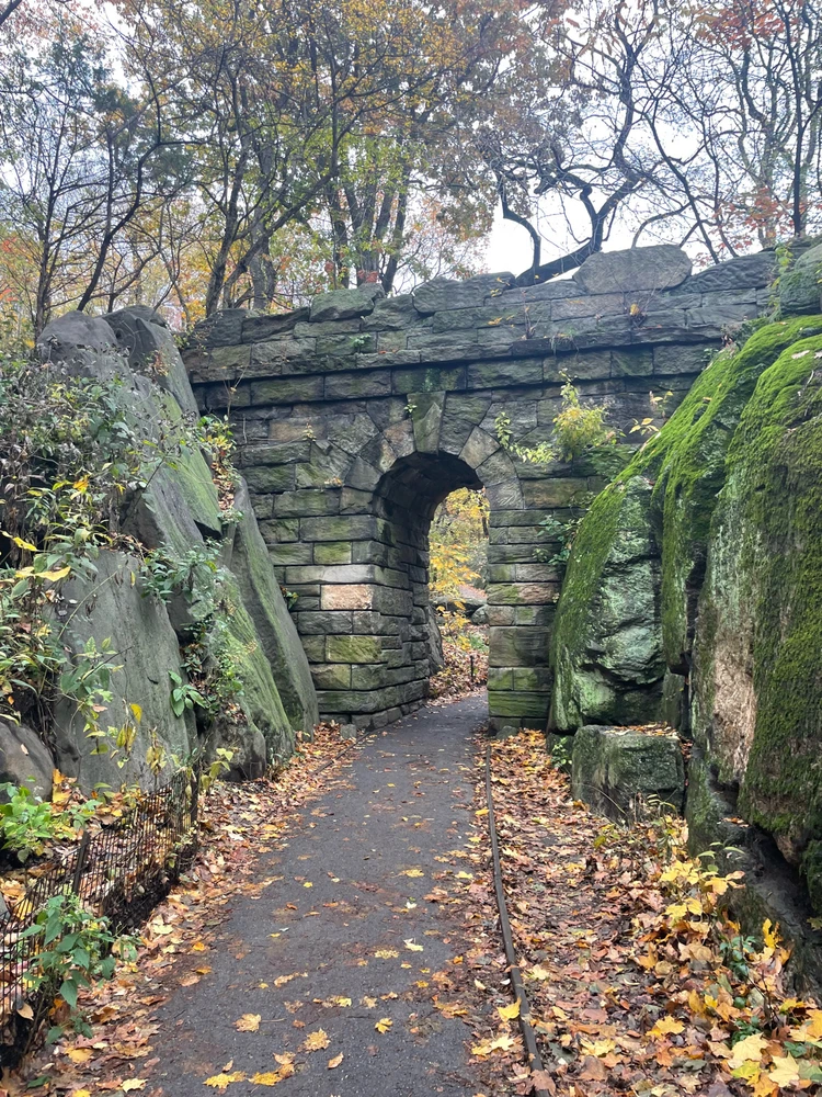 Gambar diunggah dening Dylan Camp