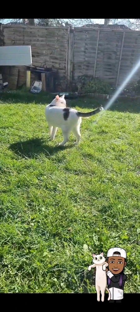 Image uploaded by Aj