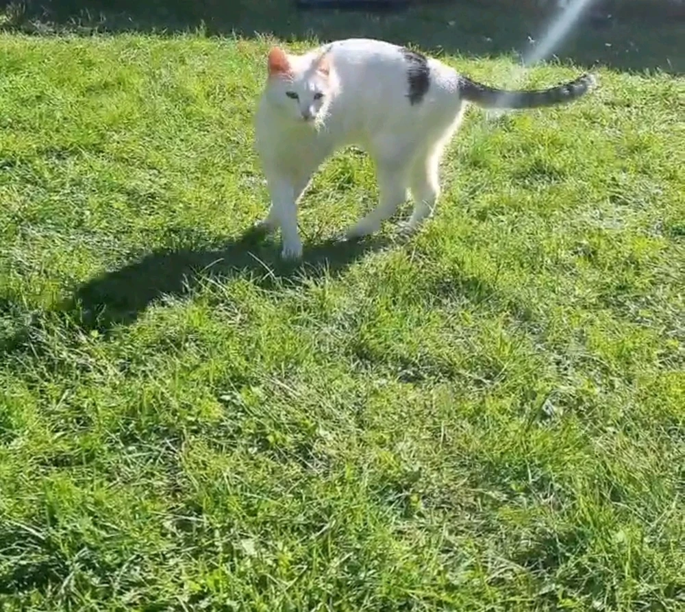 Image uploaded by Aj