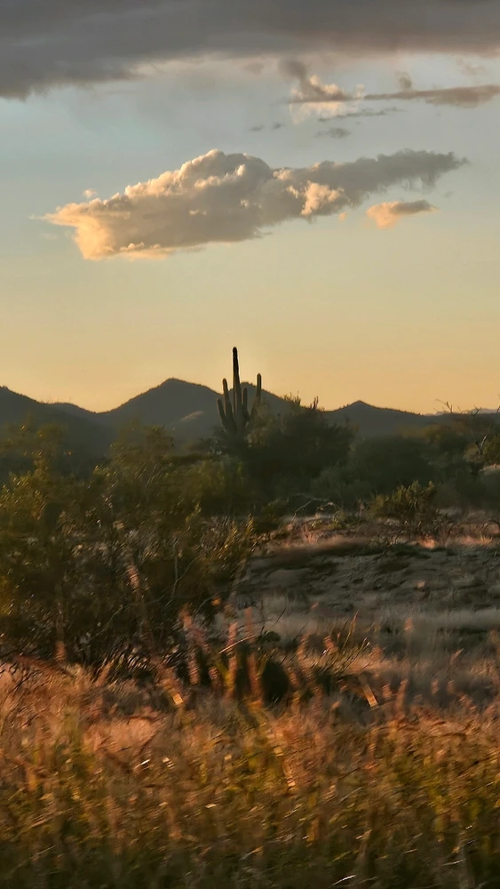 GIF uploaded by Inanna