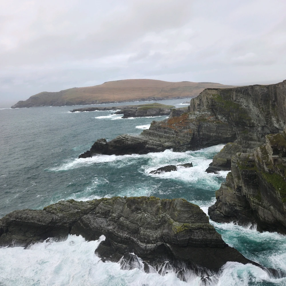 Image uploaded by Austin