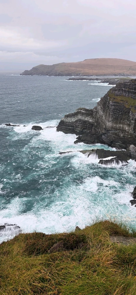 Image uploaded by Austin