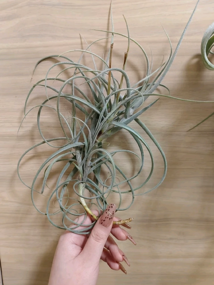 Image uploaded by Vicky