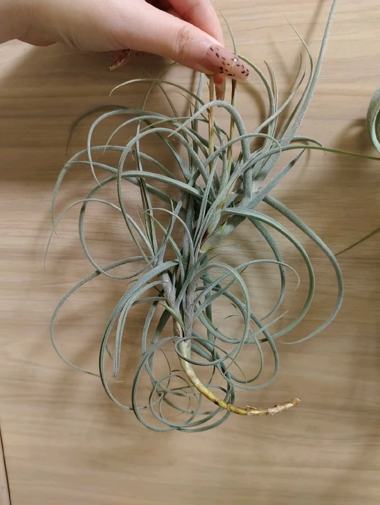 Image uploaded by Vicky