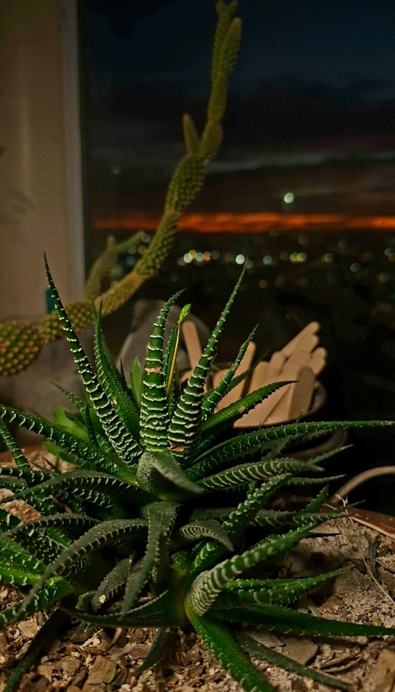 GIF enviado por Caio Cezar