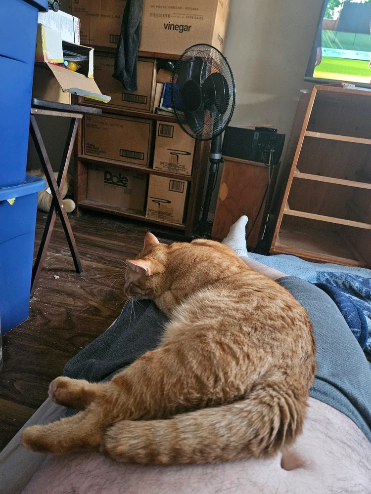 Image uploaded by Micheal