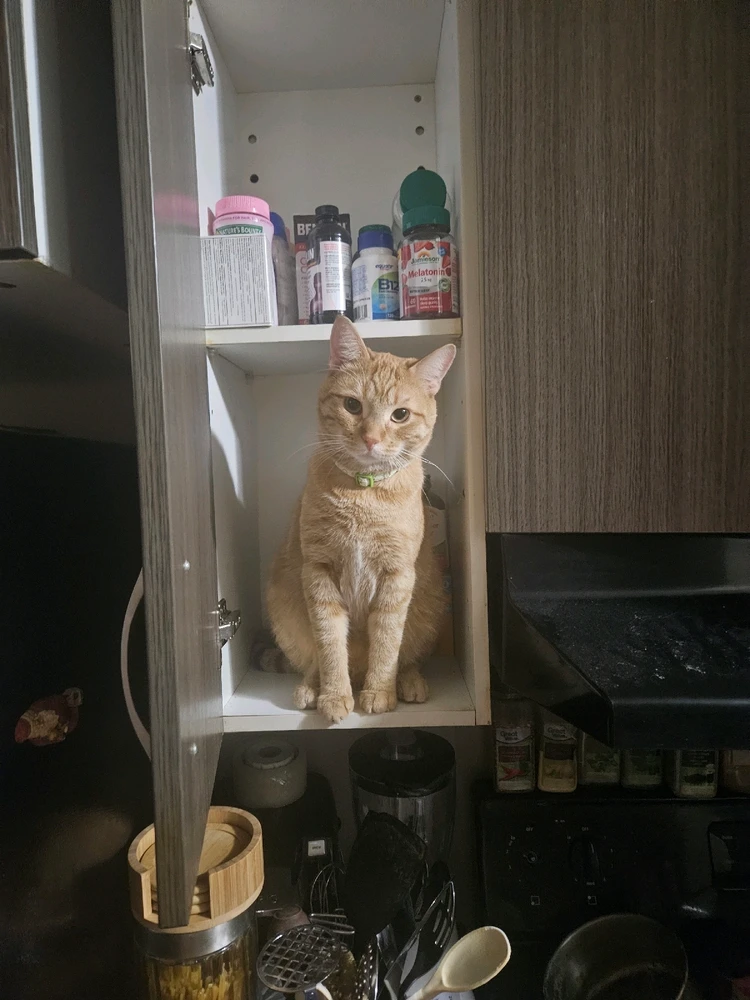 Image uploaded by Micheal