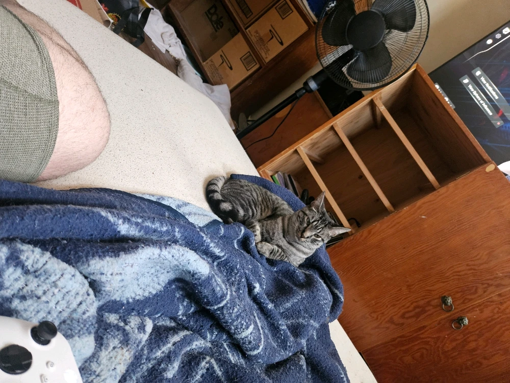 Image uploaded by Micheal