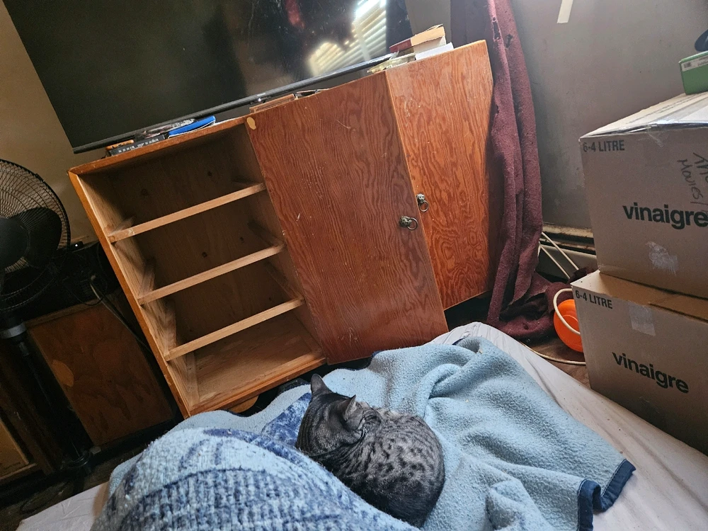 Image uploaded by Micheal