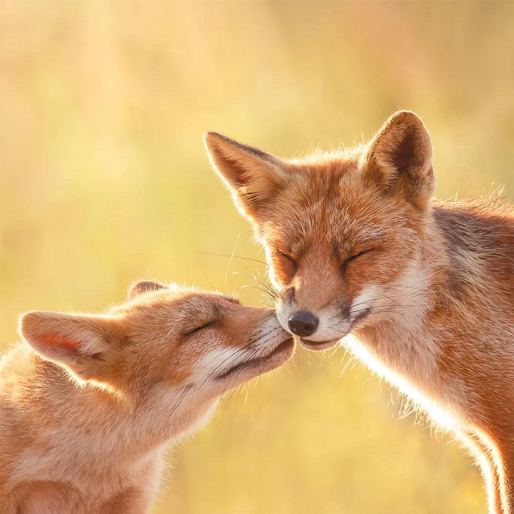 GIF uploaded by LuluBae