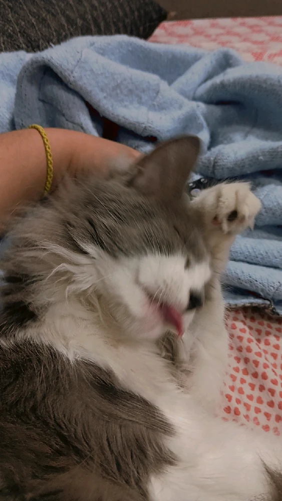 Imagen subida por Abril