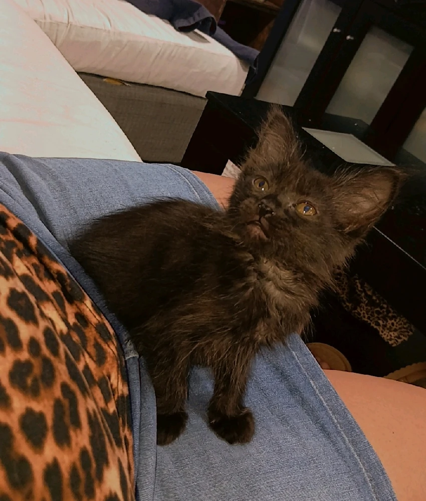 Imagen subida por Abril