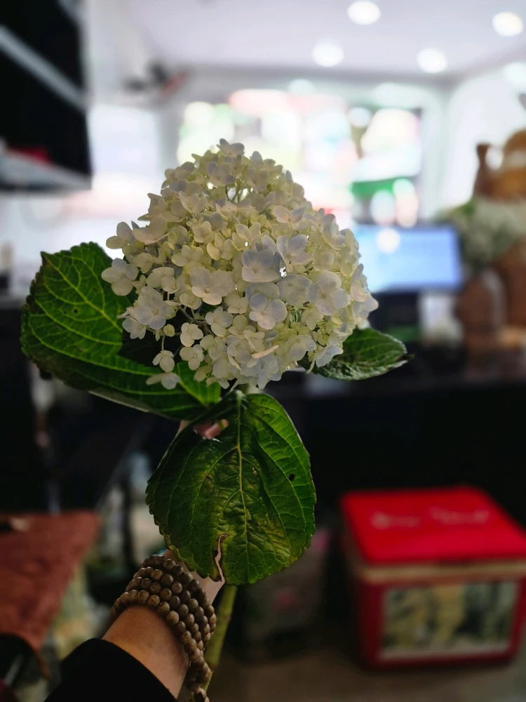 GIF uploaded by Thảo