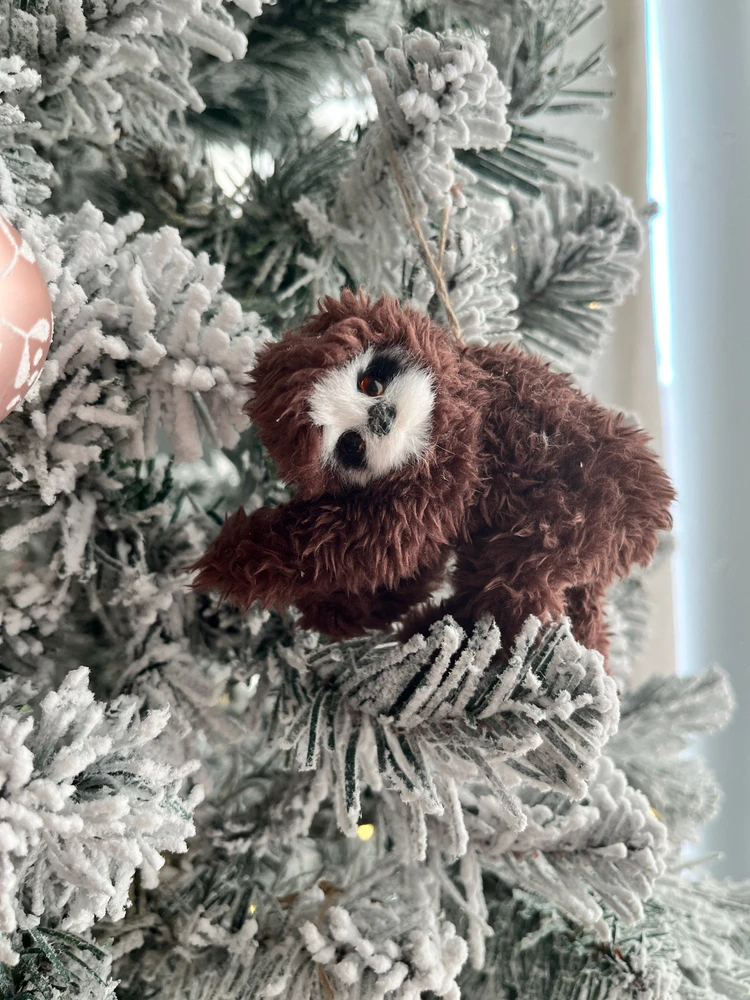 Image uploaded by Alanna