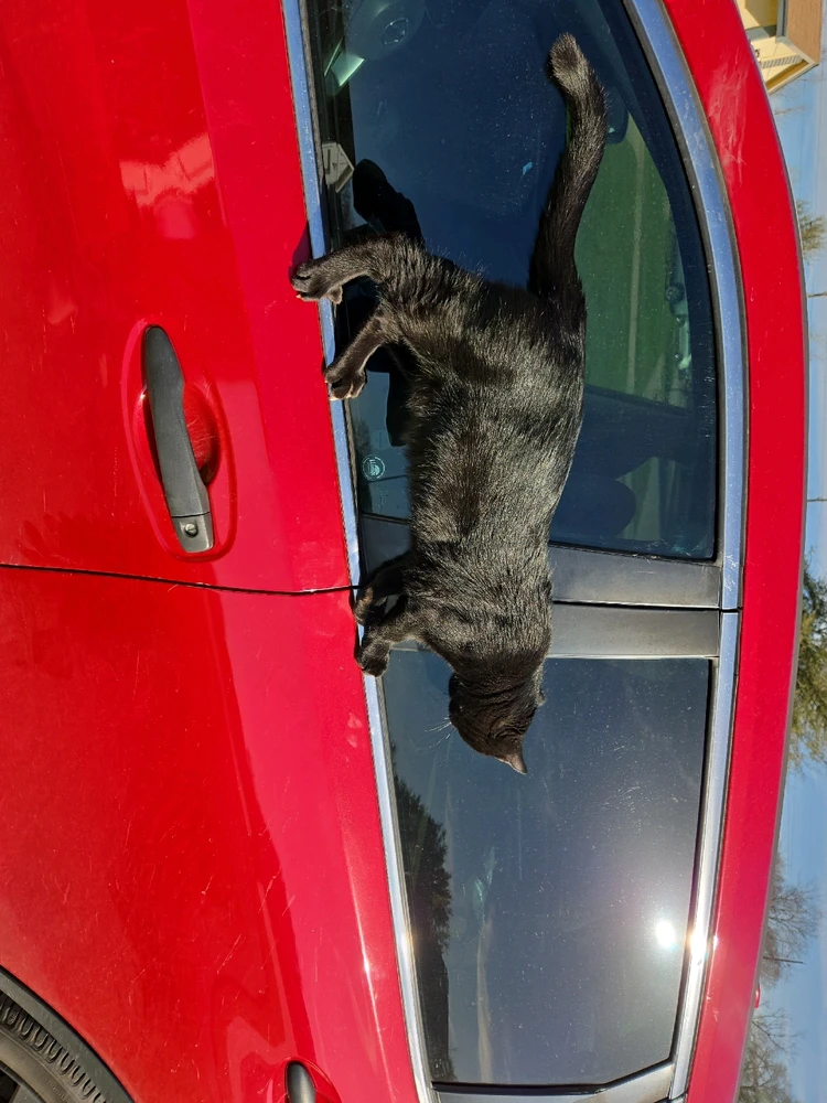 GIF uploaded by Cory