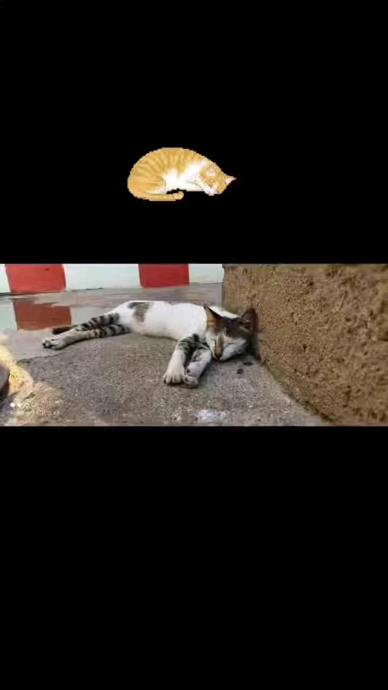 GIF uploaded by Manikandan