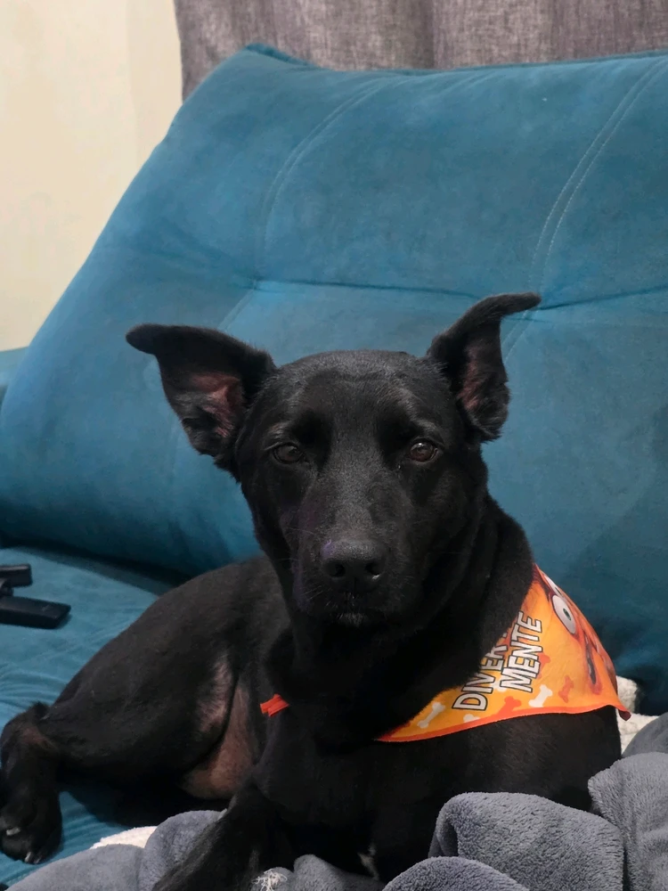 GIF enviado por Marcos Expedito