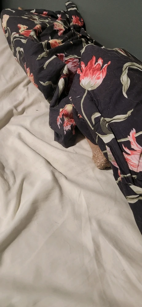 GIF uploaded by Andrew