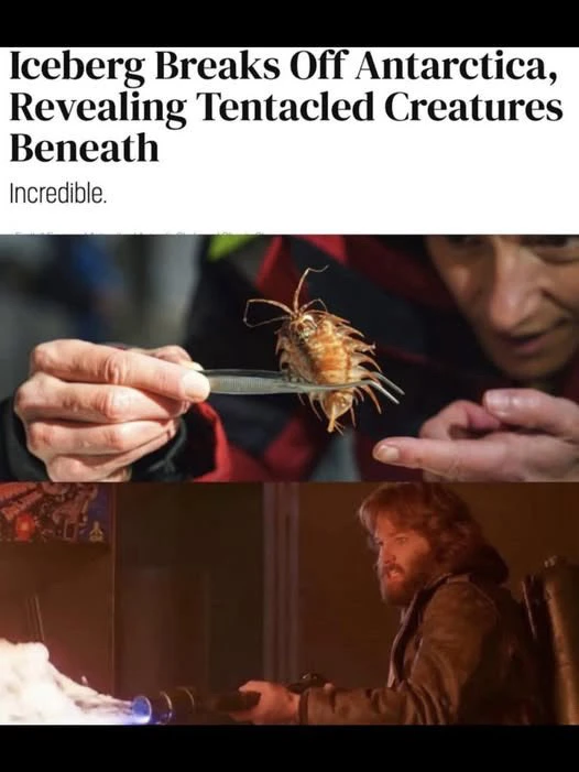 Image uploaded by Daniel