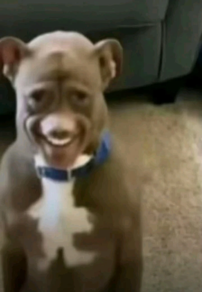 GIF diunggah dening Sage