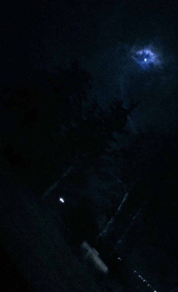 Image uploaded by C :)