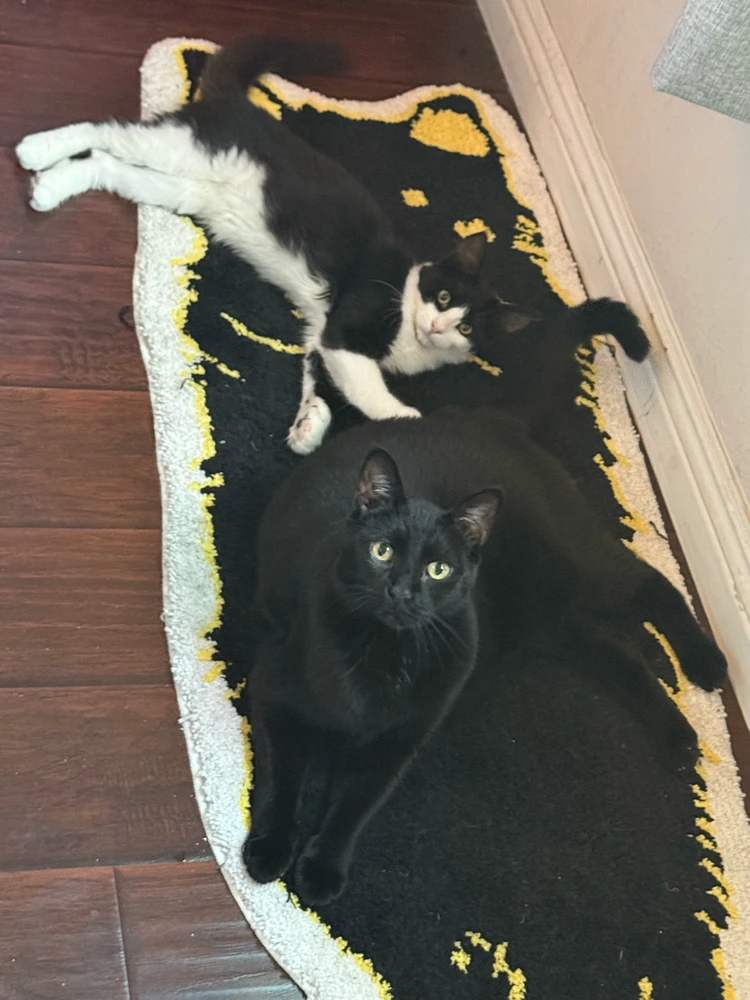 Image uploaded by Harvey