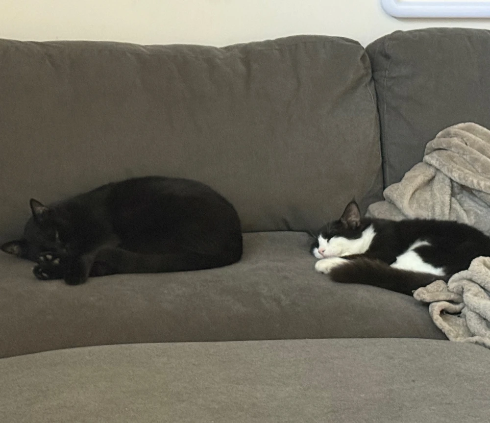 Image uploaded by Harvey