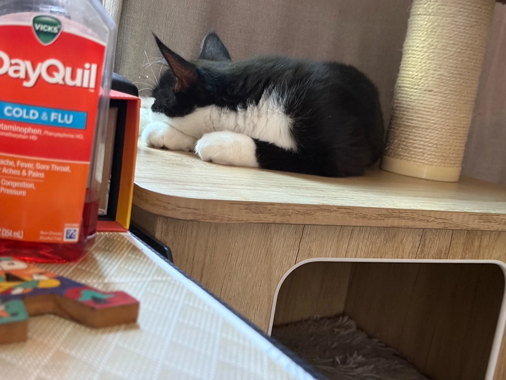 Image uploaded by Harvey