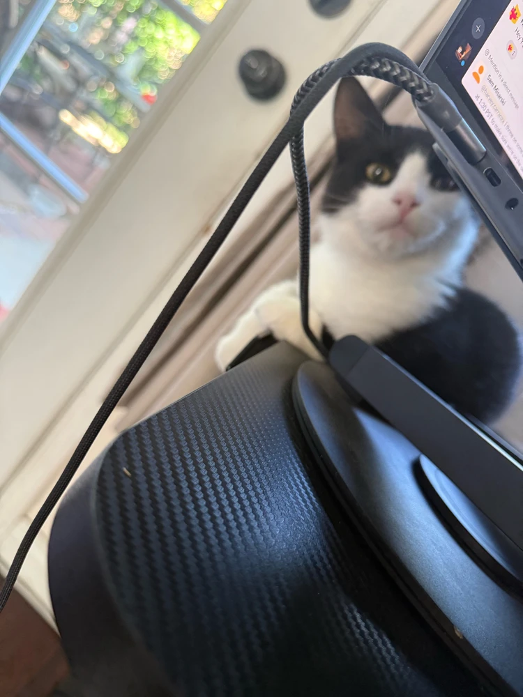 Image uploaded by Harvey