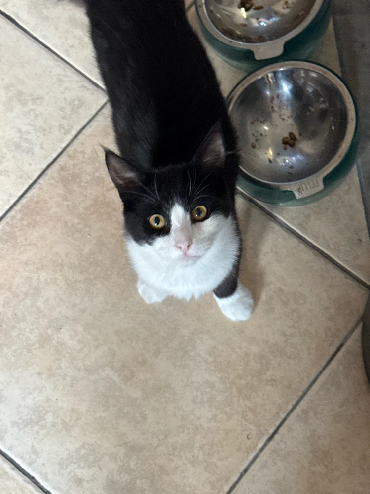 Image uploaded by Harvey