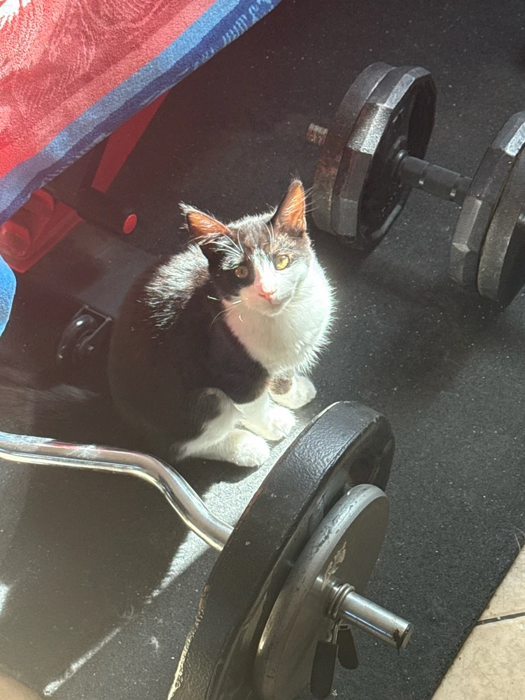 Image uploaded by Harvey