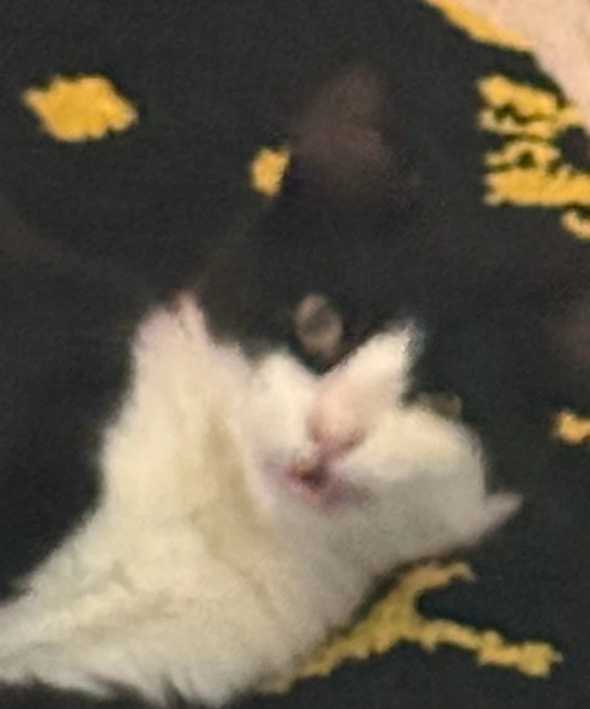 Swear he got his face from me making it in countless meetings