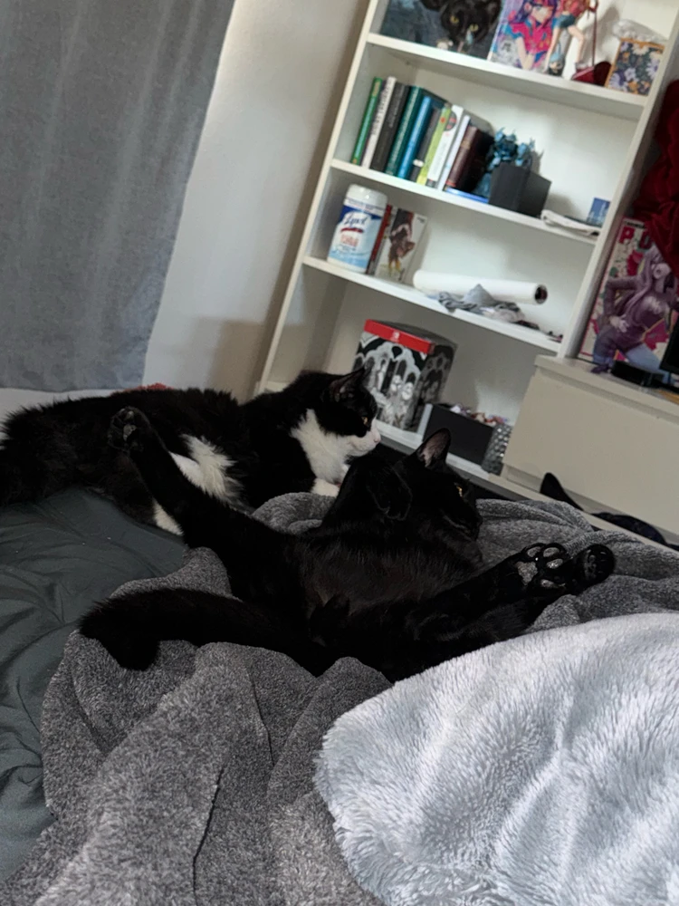 Idk what my boi was doing here 😭