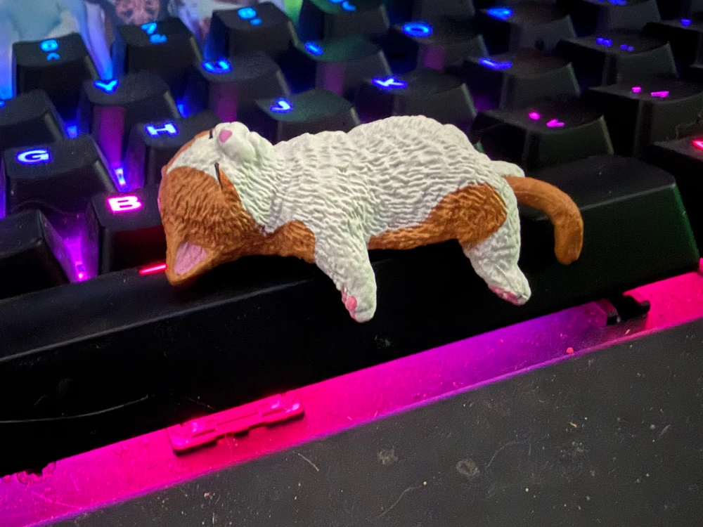 I know I need to clean this 🥲