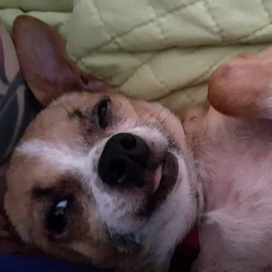 Image uploaded by Lordswitch