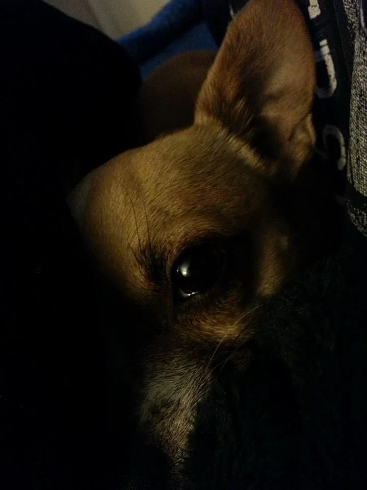 Image uploaded by Lordswitch