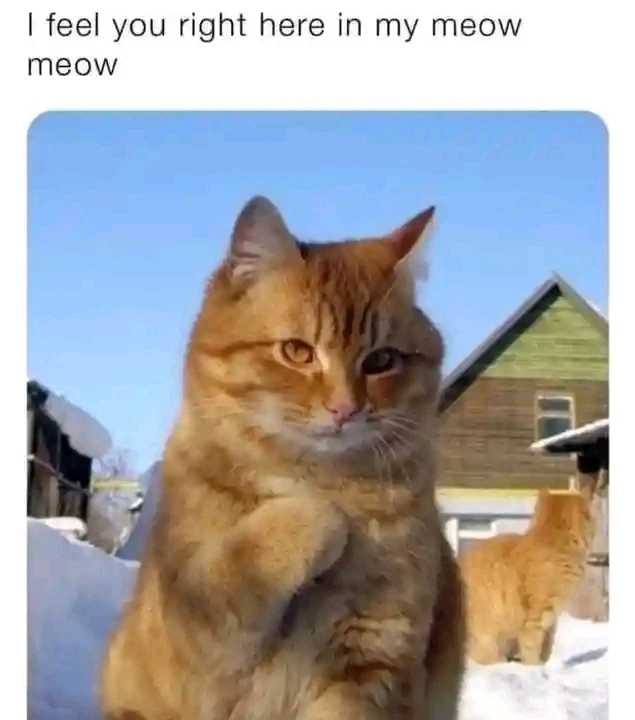 GIF uploaded by Dragoness