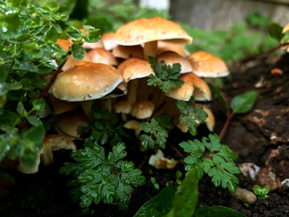 GIF uploaded by Purusoth